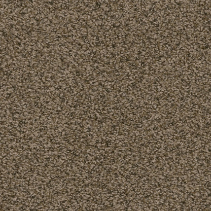 1-2200-512-1200-a-variant-room-scene