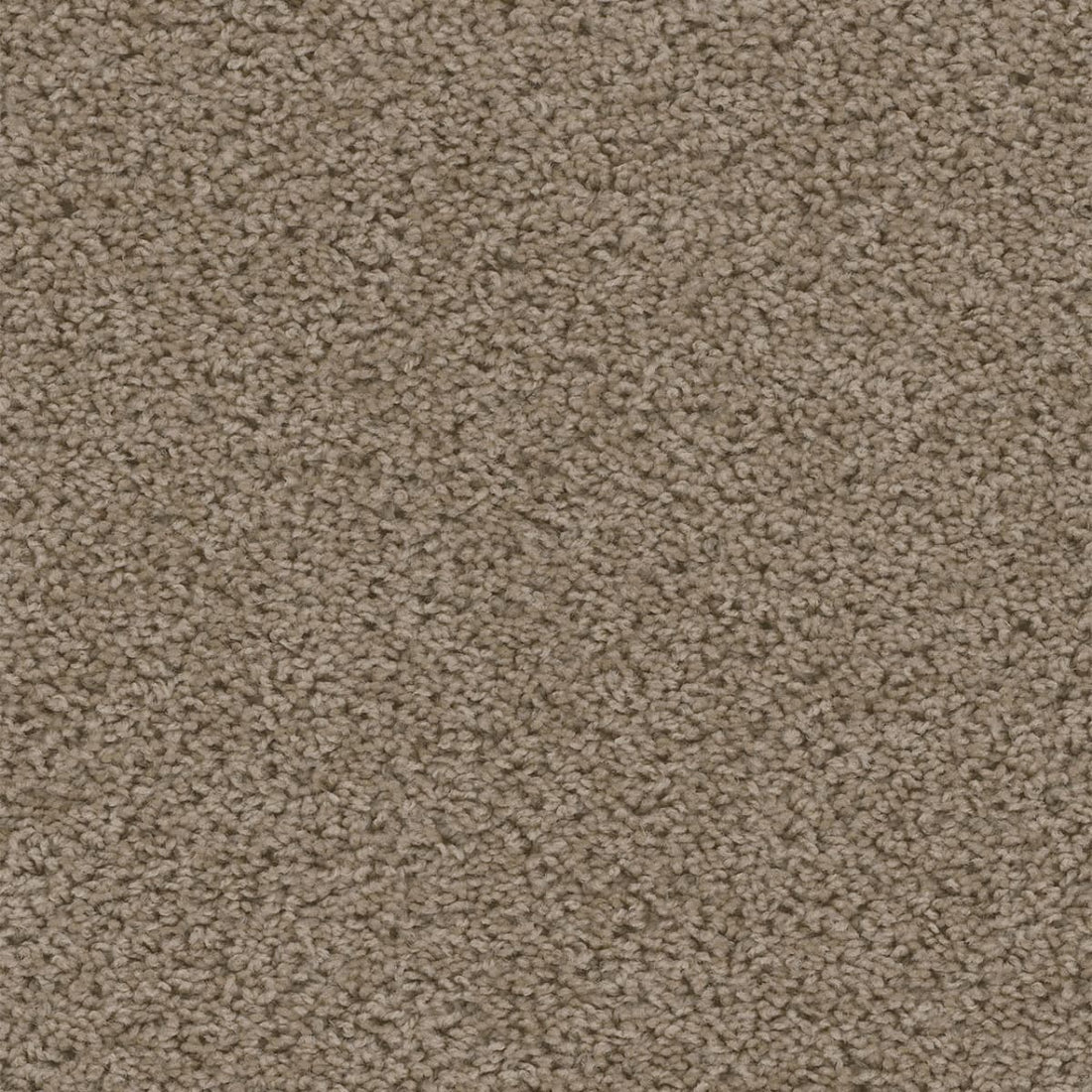 1-2200-530-1200-a-variant-room-scene