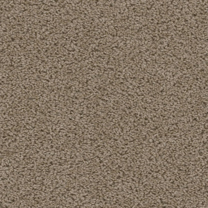 1-2200-530-1200-a-variant-room-scene
