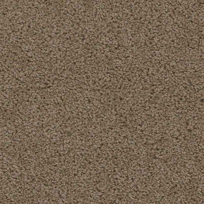 1-2200-565-1200-a-variant-room-scene