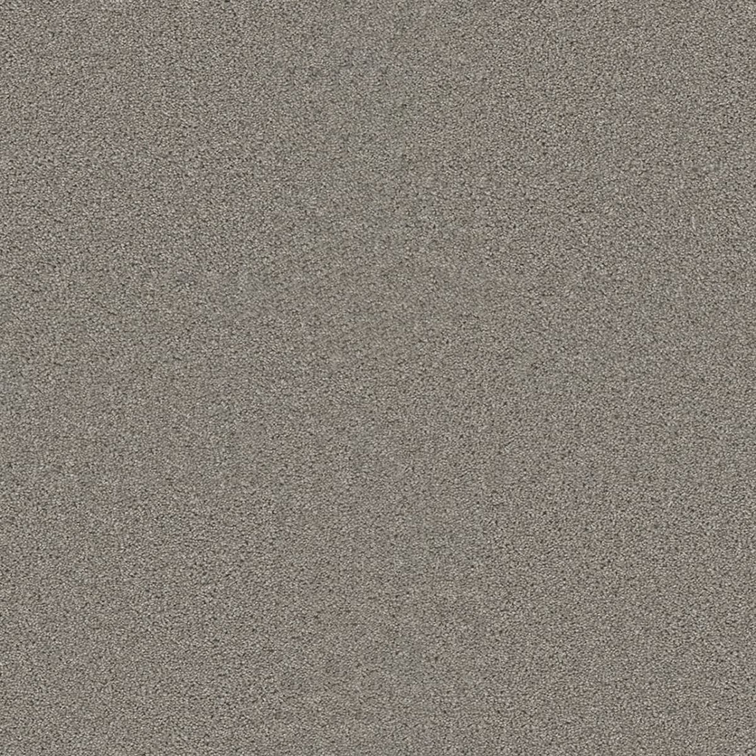 1-2200-800-1200-a-variant-room-scene