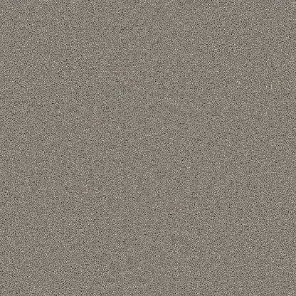 1-2200-800-1200-a-variant-room-scene