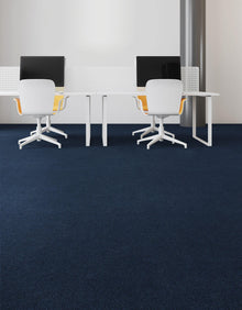 2b208-595-variant-room-scene