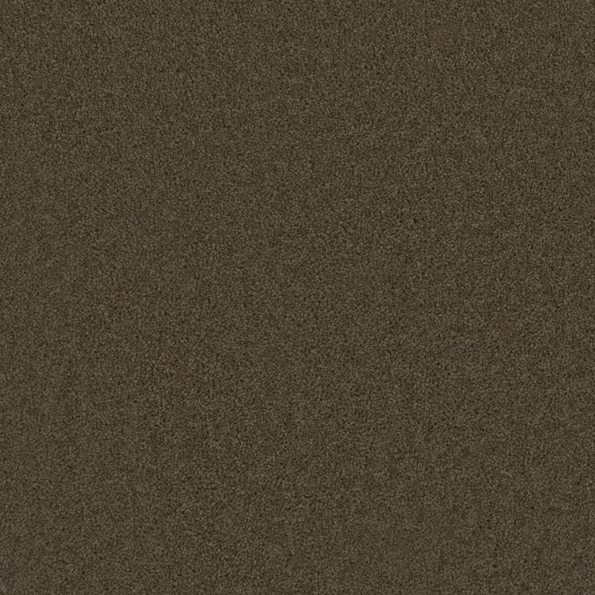 1-3025-550-1200-a-variant-room-scene