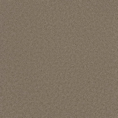 1-3025-775-1200-a-variant-room-scene