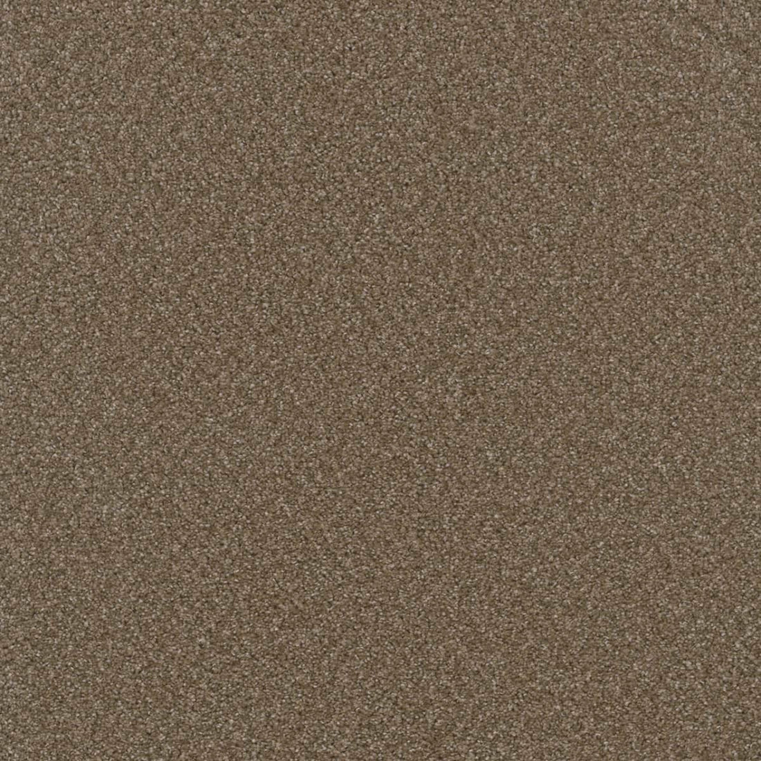 1-3025-806-1200-a-variant-room-scene