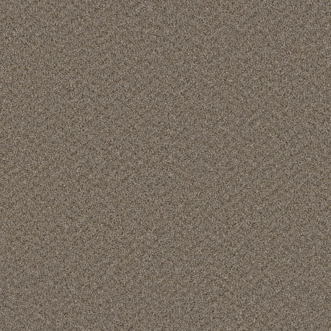 1-3025-835-1200-a-variant-room-scene