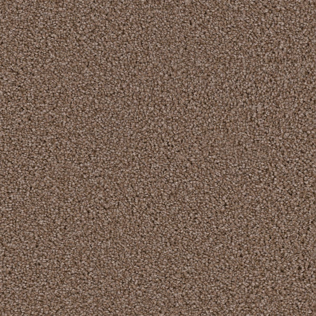 1-3025-909-1200-a-variant-room-scene