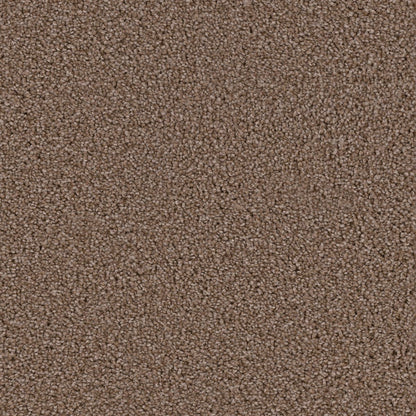 1-3025-909-1200-a-variant-room-scene