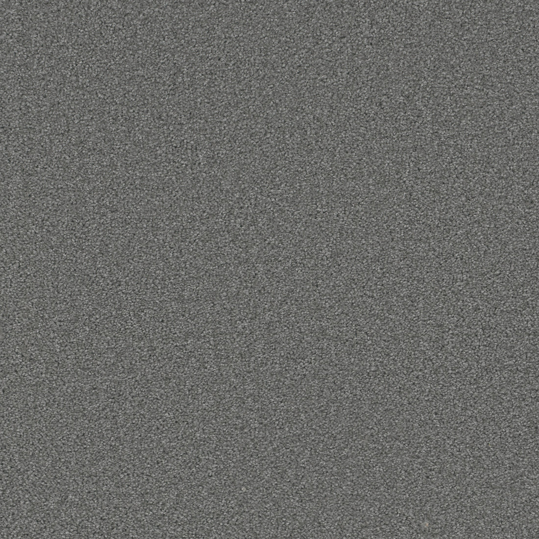 1-3125-190-1200-a-variant-room-scene