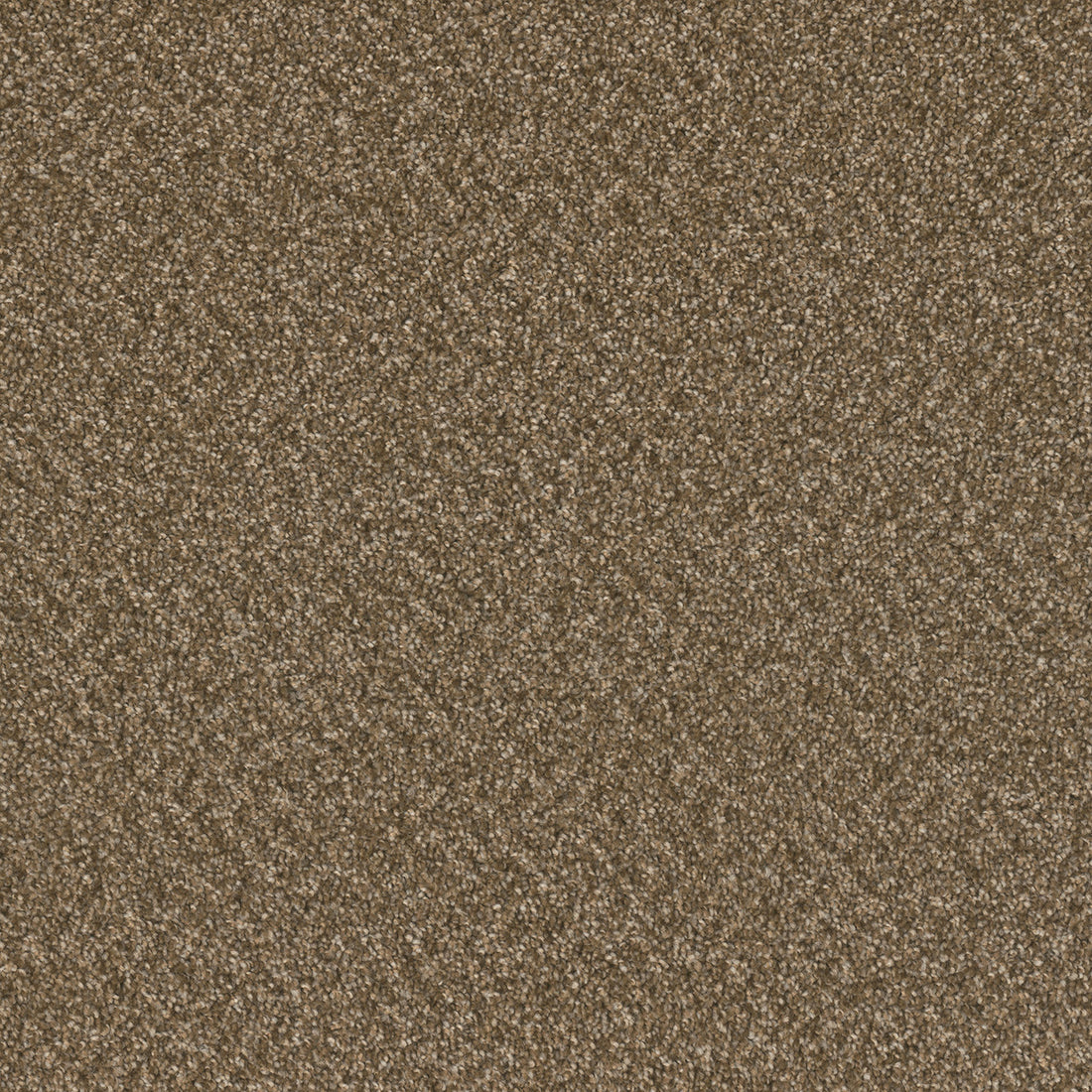 1-3125-2351-1200-a-variant-room-scene
