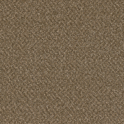1-3125-2351-1200-a-variant-room-scene