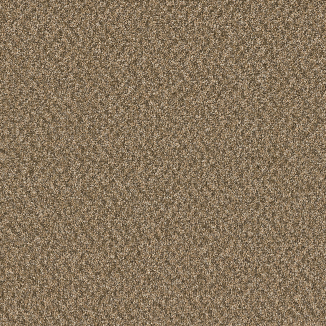 1-3125-2418-1200-a-variant-room-scene
