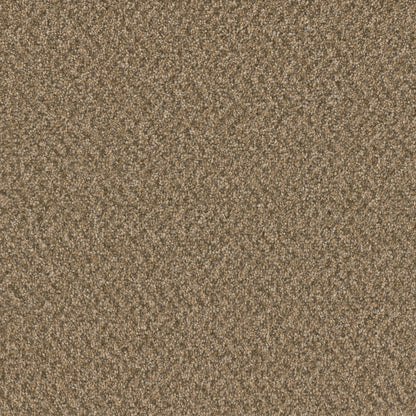1-3125-2418-1200-a-variant-room-scene