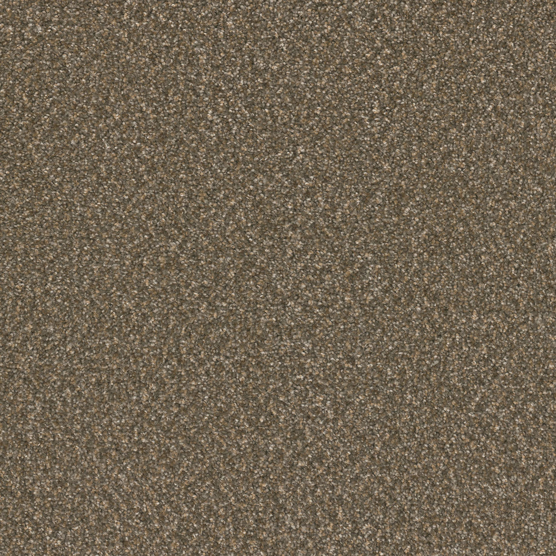 1-3125-2515-1200-a-variant-room-scene