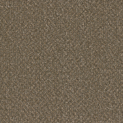 1-3125-2515-1200-a-variant-room-scene