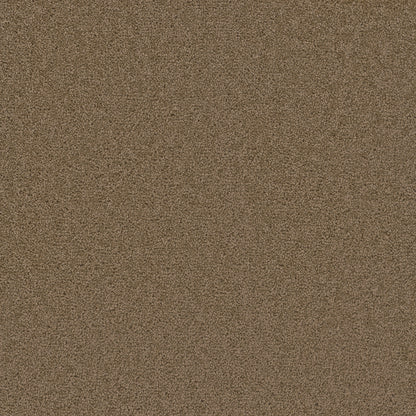 1-3125-510-1200-a-variant-room-scene