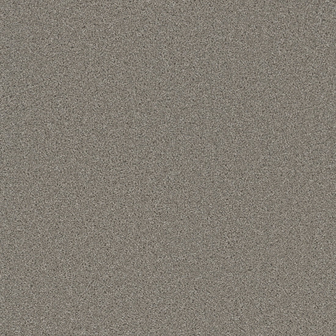 1-3125-800-1200-a-variant-room-scene