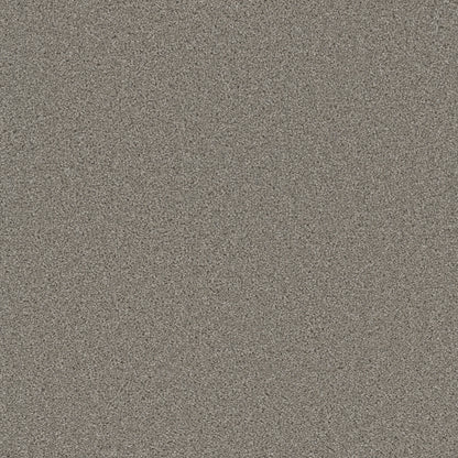 1-3125-800-1200-a-variant-room-scene