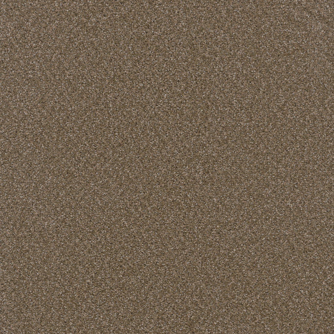1-3125-806-1200-a-variant-room-scene