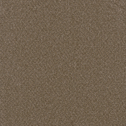1-3125-806-1200-a-variant-room-scene