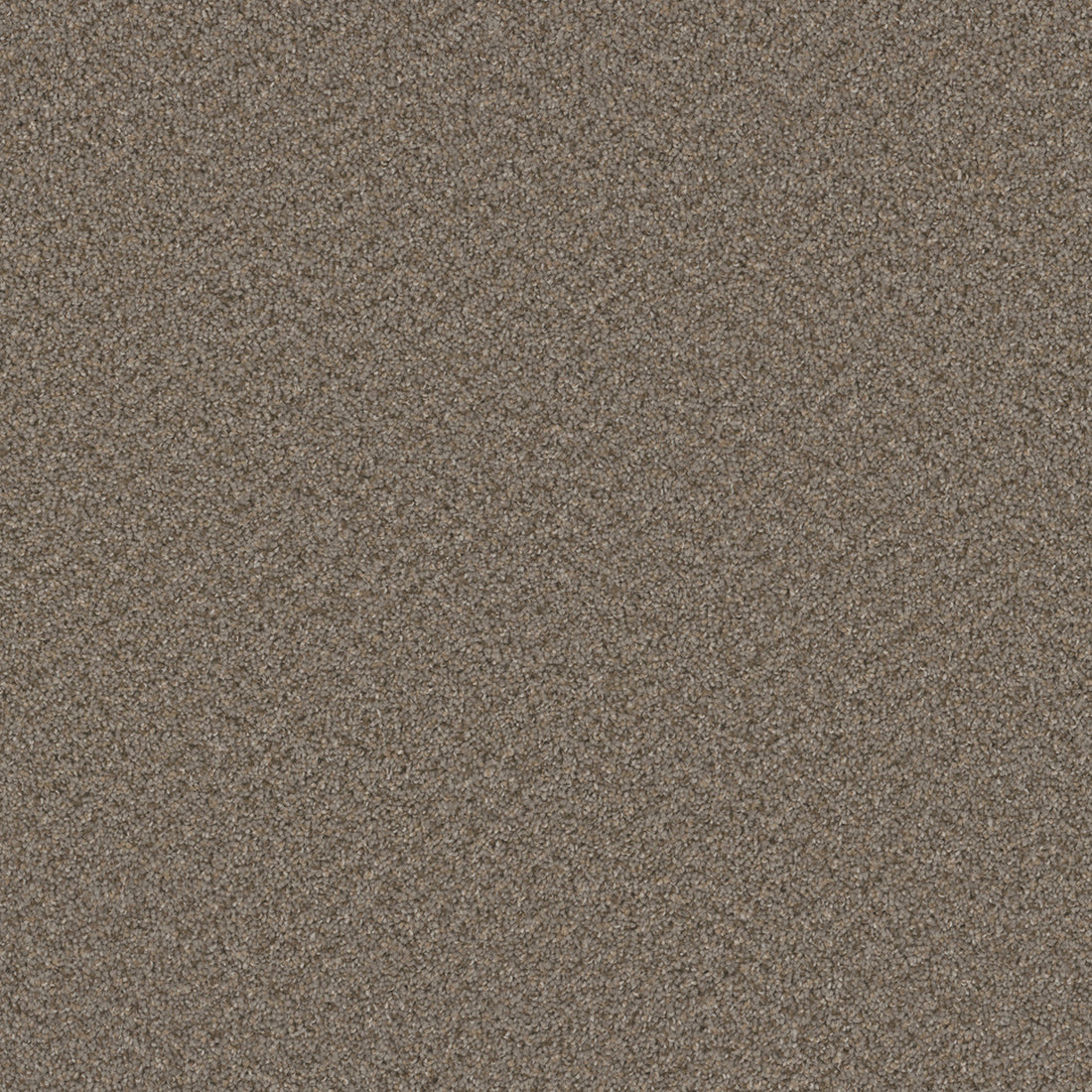 1-3125-835-1200-a-variant-room-scene