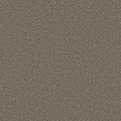 1-3125-835-1200-a-variant-room-scene
