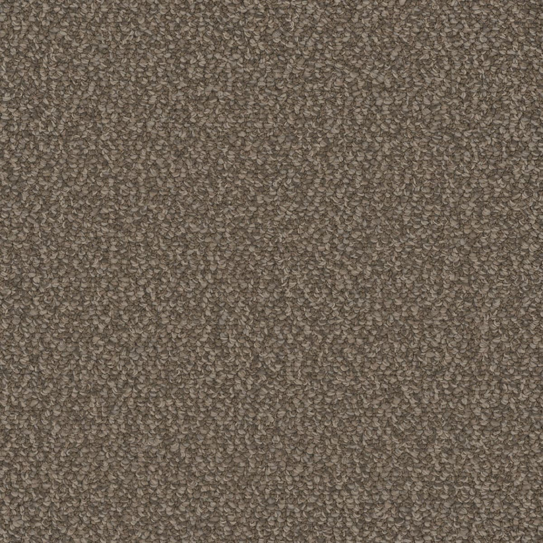 1-3236-2317-1200-a-variant-room-scene