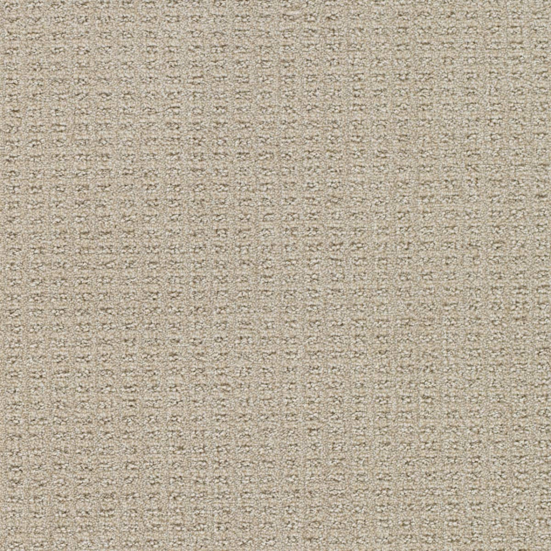 1-3585-2586-1200-a-variant-room-scene
