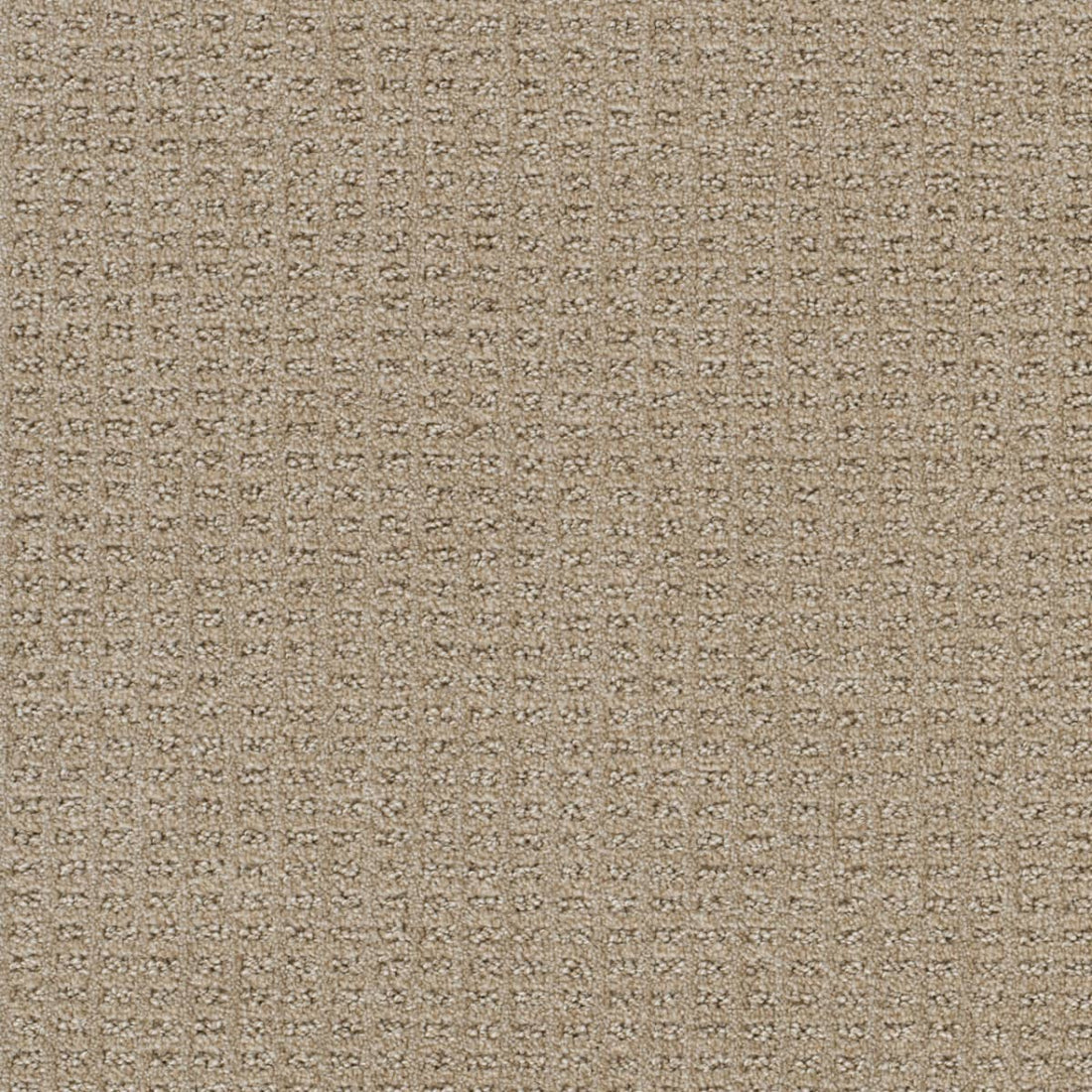 1-3585-2604-1200-a-variant-room-scene