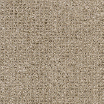1-3585-2604-1200-a-variant-room-scene