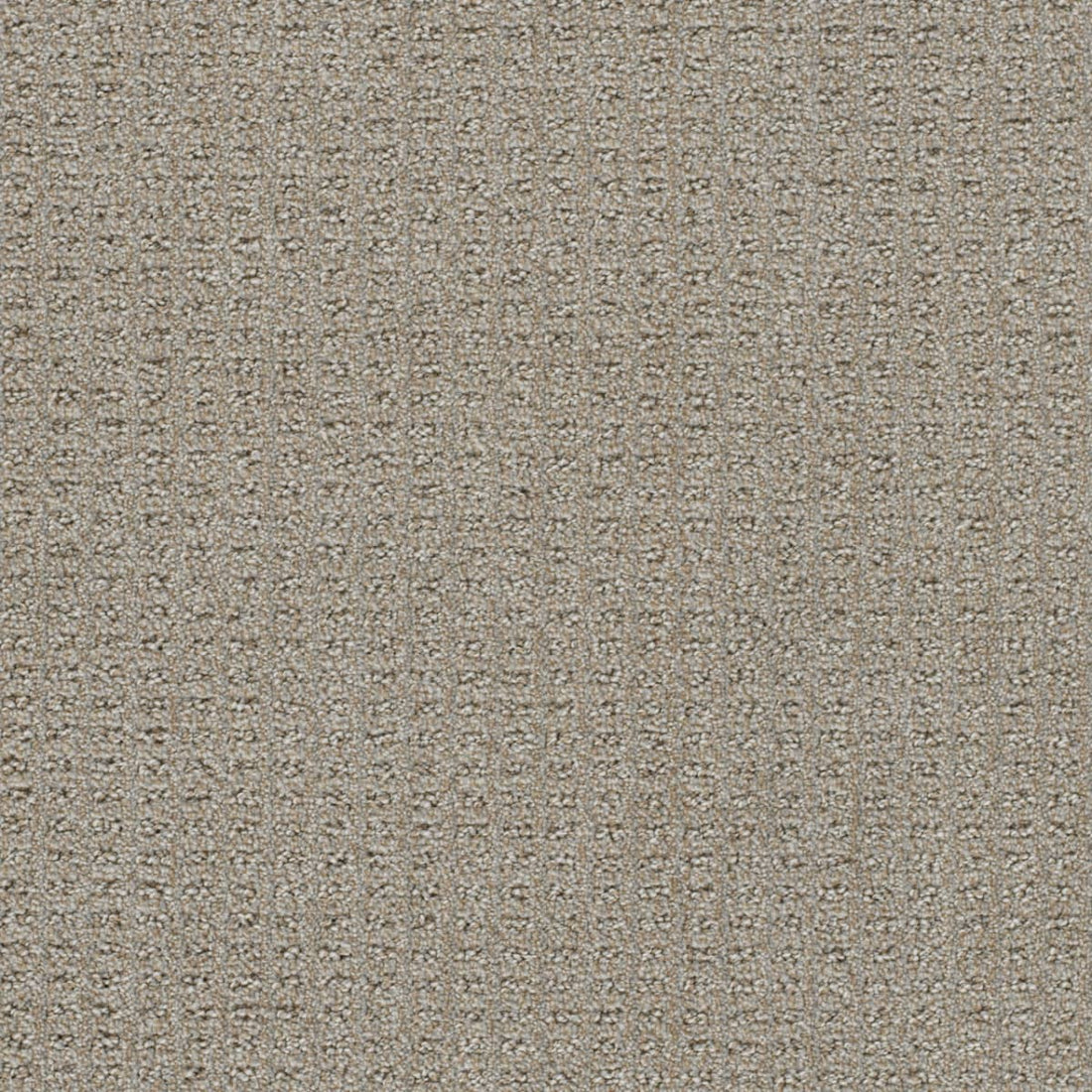 1-3585-2732-1200-a-variant-room-scene