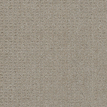 1-3585-2732-1200-a-variant-room-scene