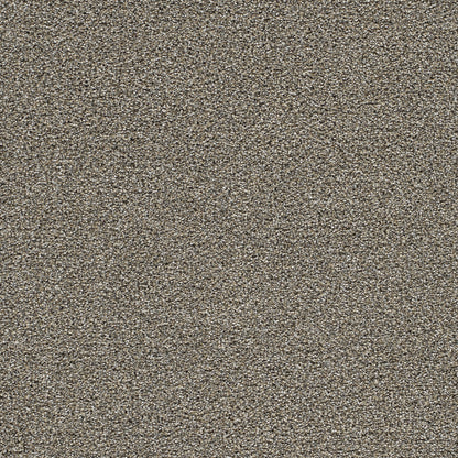 1-4046-2316-1200-a-variant-room-scene