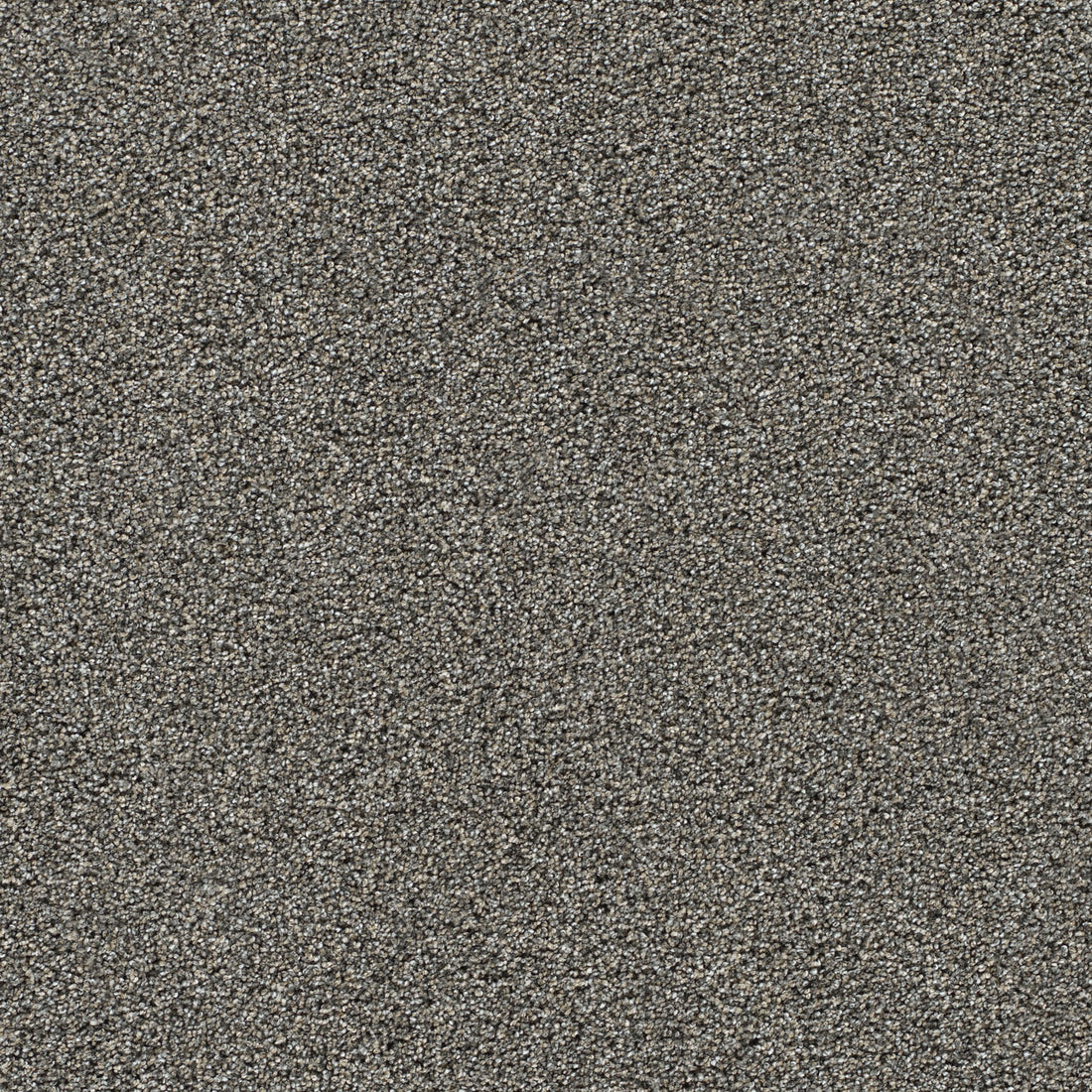 1-4046-2330-1200-a-variant-room-scene
