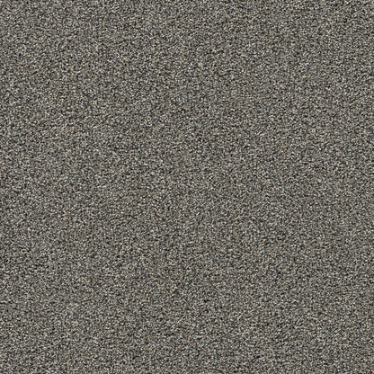 1-4046-2330-1200-a-variant-room-scene