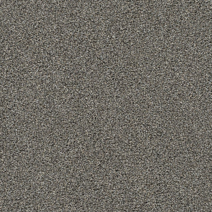 1-4066-2330-1200-a-variant-room-scene