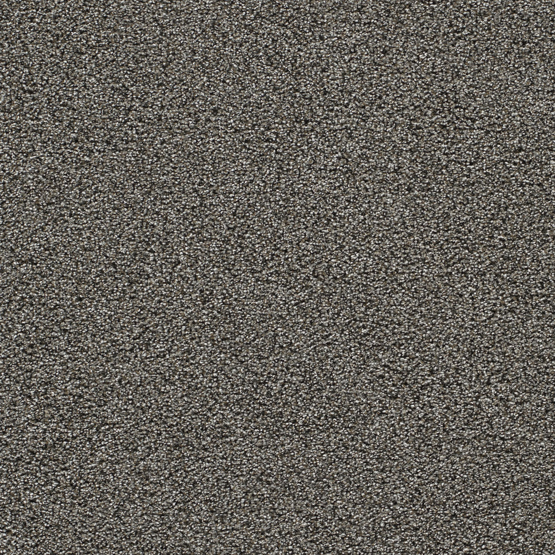 1-4046-2376-1200-a-variant-room-scene
