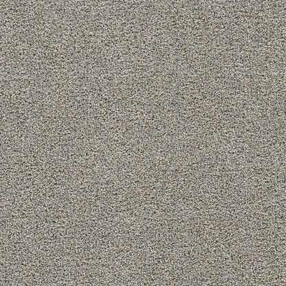 1-4046-2448-1200-a-variant-room-scene
