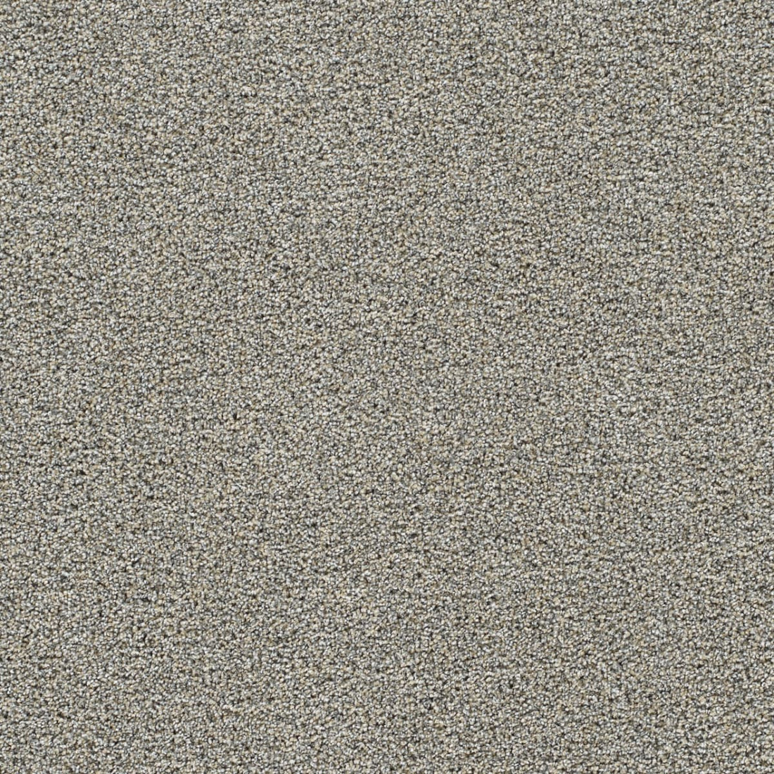 1-4066-2448-1200-a-variant-room-scene