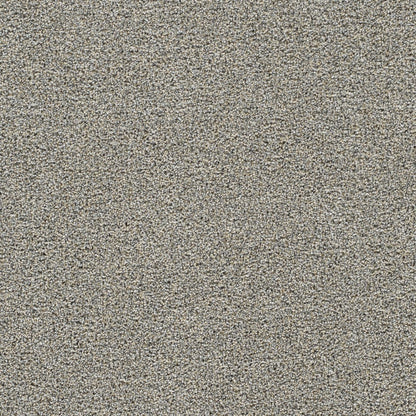 1-4066-2448-1200-a-variant-room-scene