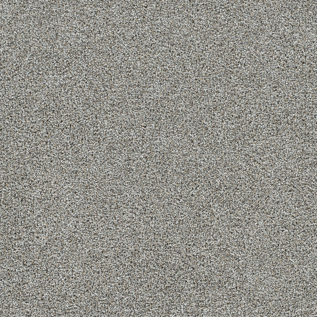 1-4046-2484-1200-a-variant-room-scene