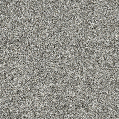 1-4066-2484-1200-a-variant-room-scene