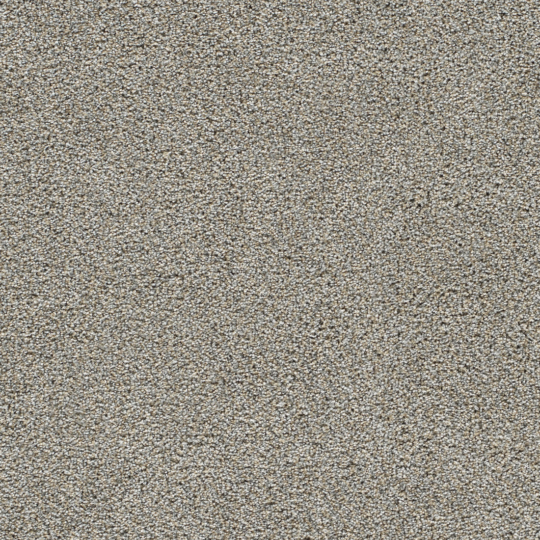 1-4046-2508-1200-a-variant-room-scene