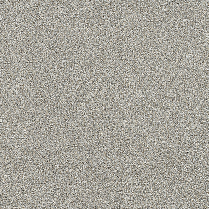 1-4046-2611-1200-a-variant-room-scene