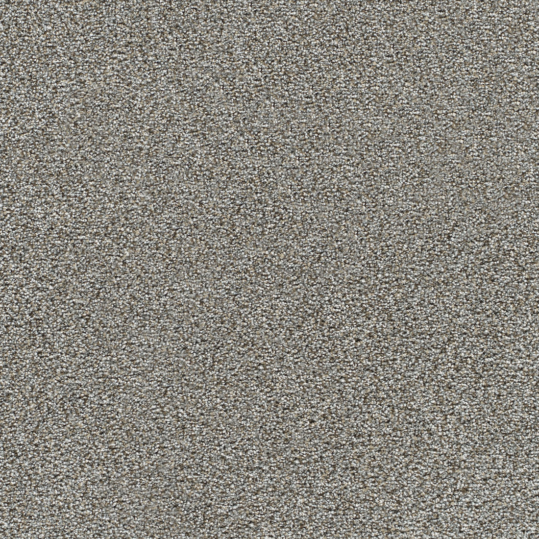 1-4046-2648-1200-a-variant-room-scene