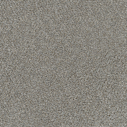 1-4046-2648-1200-a-variant-room-scene