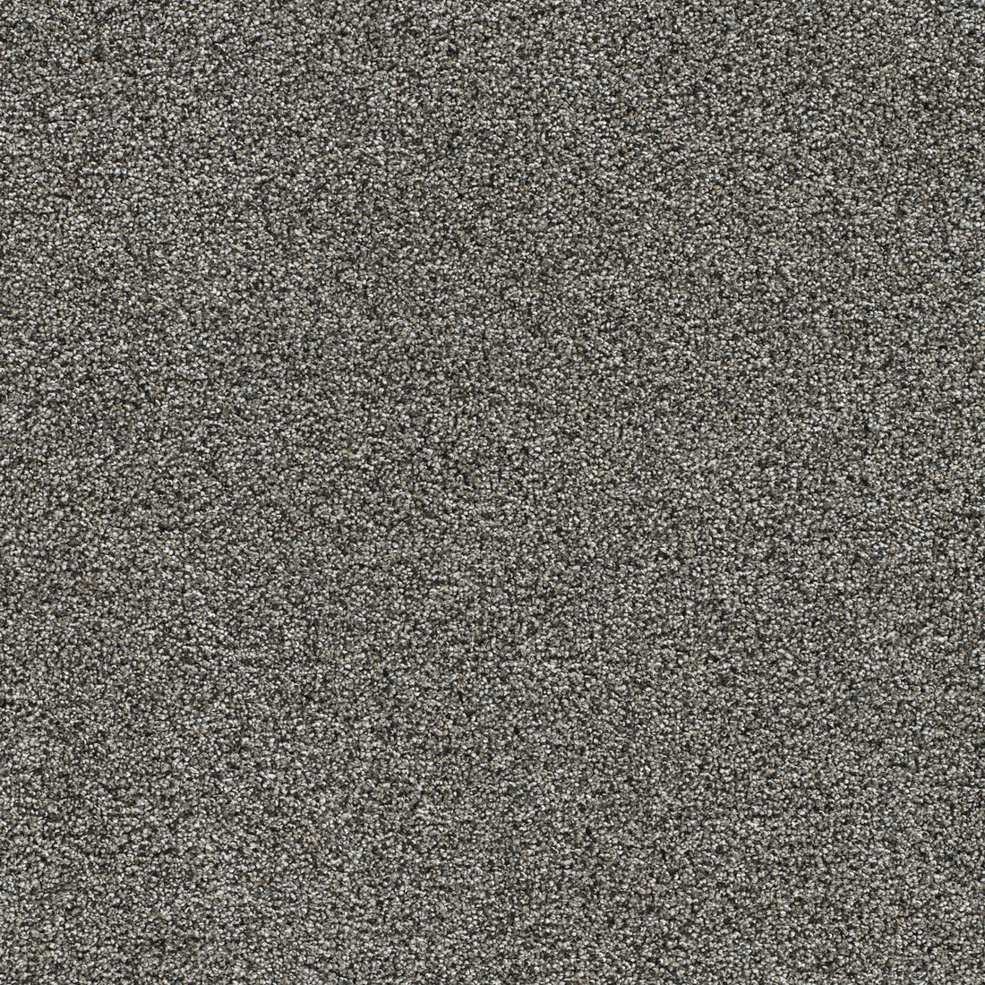 1-4046-2684-1200-a-variant-room-scene