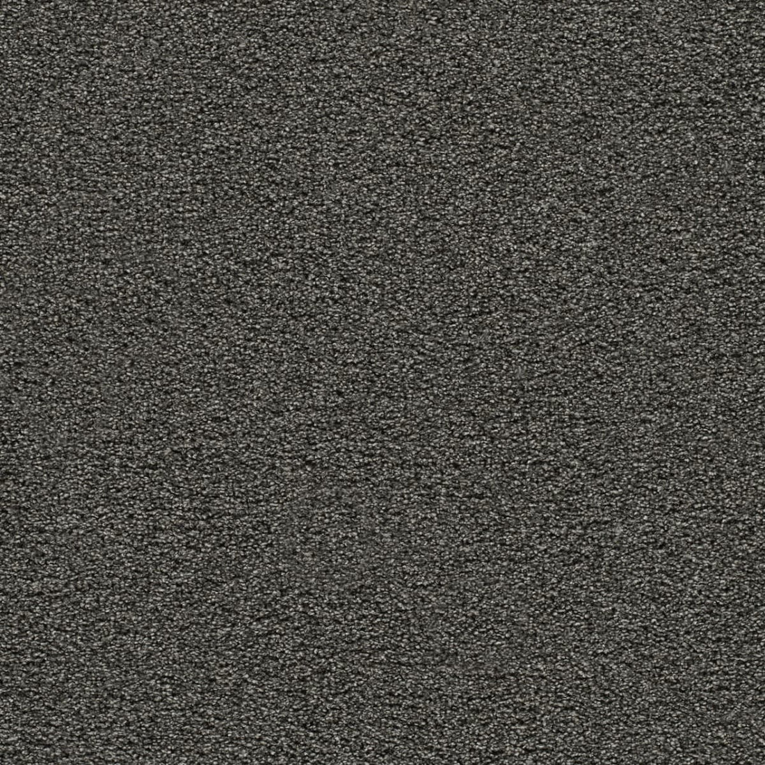 1-4066-2875-1200-a-variant-room-scene