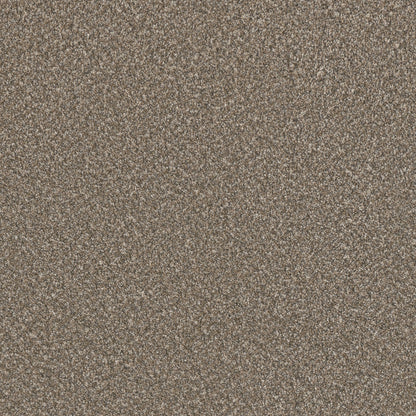 1-4047-2391-1200-a-variant-room-scene